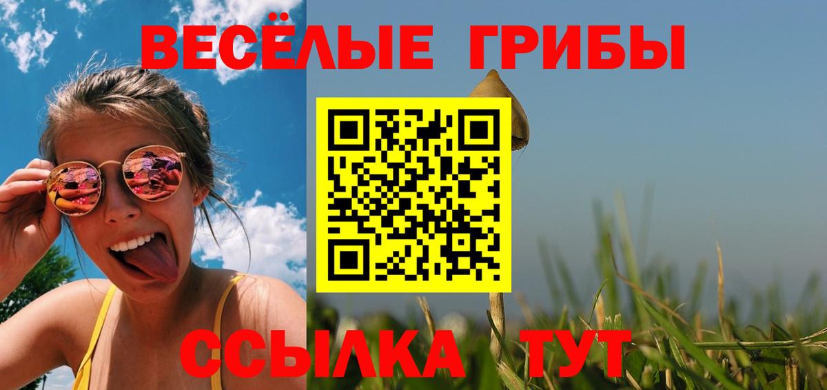 наркота  Вход с VPN  Губкин  Галлюциногенные грибы Psilocybine cubensis  Псилоцибиновые грибы прущие грибы 