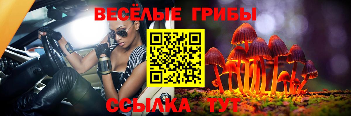 Галлюциногенные грибы Magic Shrooms Губкин